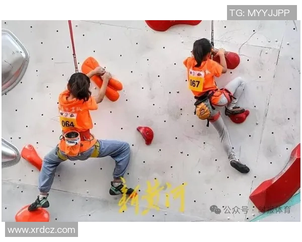 南京攀岩队的团队协作探索与攀登精神的完美结合